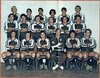 Penrith Panthers 1981 team photo -s-l1600.jpg