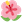 iu-4.png