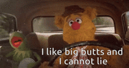 kermit-i-like.gif