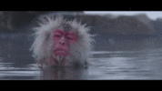 051A61EF-9B95-4BFD-9D8C-37B0EB16B88B.gif