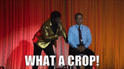 01D64A6B-B1E0-463F-9554-FAE98BD10627.gif