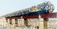 Tiger Train.png