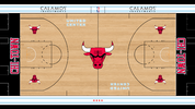 Bulls-court.png