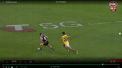 throw.gif throw.gif