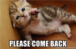 please-come-back.jpg