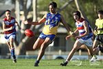 Sunshine-PointCook.jpg