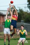 YarravilleSeddon-Spotswood.jpg