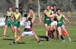 Moyhu-Hoppers-AFL-club.jpg