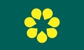 GoldenWattle_Flag_Green_Myrtle_NEW_2500px.jpg