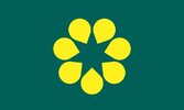 GoldenWattle_Flag_Green_Myrtle_NEW_2500px.jpg