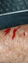 IMG20220615201021.jpg