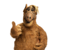 alfcrop_alf.jpg.png