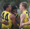 Screenshot 2022-06-23 at 21-29-25 Richmond VFL (@richmondvfl) • Instagram photos and videos.png