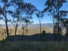 PXL_20220622_061239484 (1).jpg