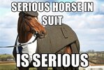 serious-horse-in-suit-isserious-mewegenerator-he-one-of-our-favorite-51545129 (2).jpg