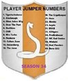 Jumper Number Shield S34.jpg