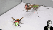 E9D524A6-F320-405E-A858-B7063136DB37.gif