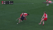 53611B5C-79A0-4D2C-8B0D-C1D92F0752FF.gif