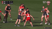 01B92EF3-7B56-4514-B215-AF30F8786C8A.gif