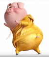 pig Twerking.gif