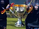 crows2022cup.jpg