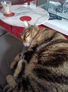 IMG20220901094616.jpg