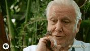 1661991790911.gif