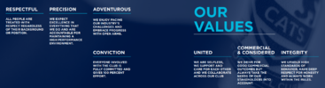 values.png