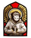 chimp angel 2.jpg