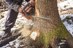 man-motor-chainsaw-cutting-tree-man-motor-chainsaw-cutting-tree-forest-174908051.jpg