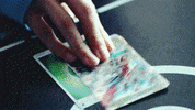 DimpledTartFawn-max-1mb.gif