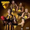Hawthorn_Hawks_Calendar_2023_540x.jpg