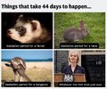 4227C1B8-FF4D-42EF-94D4-E938936A3600.jpeg
