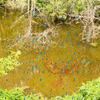 F5A40102-9864-46B6-B6AA-08808AB91020.gif