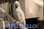 9488CDEA-FCC6-4966-8C9C-E1A99A043AF8.gif