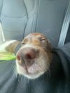 IMG_20221203_075735.jpg