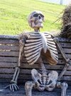 Waiting-Skeleton_1_76.jpg