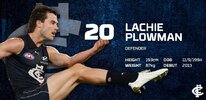 20 plowman.jpg