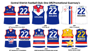 SANFL Jumpers.png