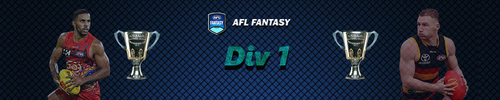 Banners-League-Fantasy-Div-1.png