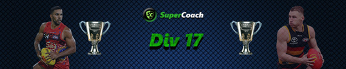 Banners-League-SC-Div-17.png