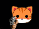 cat-gun (1).gif