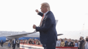giphy (5).gif