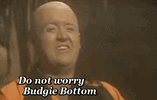 budgie bottom.gif