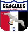 Seagulls-VFL.gif