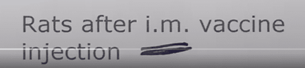 1679885161233.png
