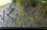 Screenshot 2023-04-10 113148.png