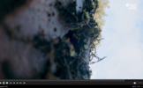 Screenshot 2023-04-10 113638.png