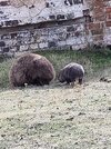 20230414_112104.jpg