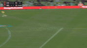 R5 v Essendon (2).gif